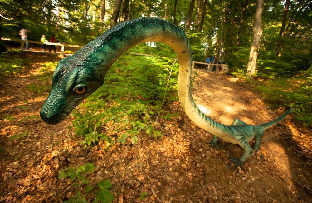 dino-parc