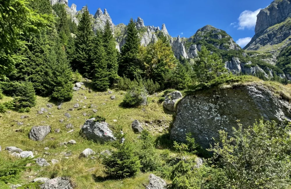 traseu-bran-bariera-sat-poarta-valea-gaura-saua-hornurilor-varful-scara-valea-ciubotea-bran-bariera-sat-poarta
