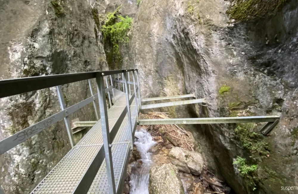 traseu-canionul-7-scari-cabana-piatra-mare